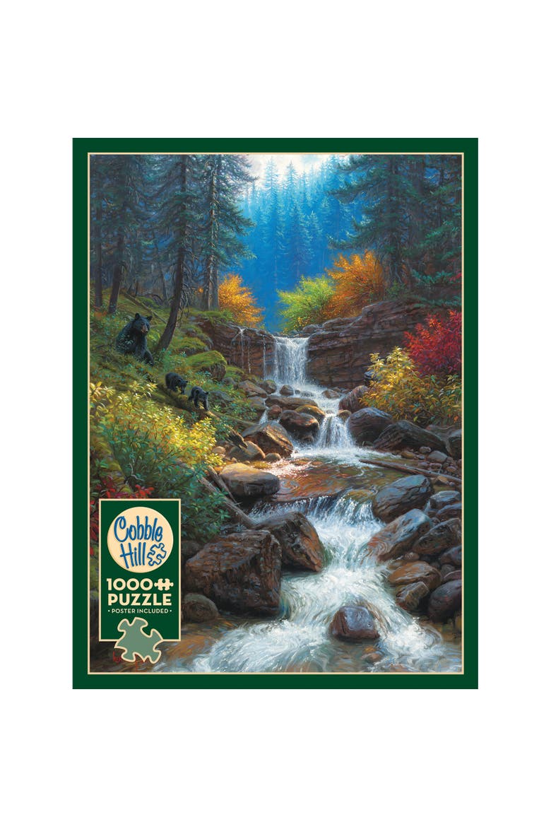 1000 Piece Puzzle Mountain Cascade  High Quality Jigsaw, Alternate, color, Multicolored
