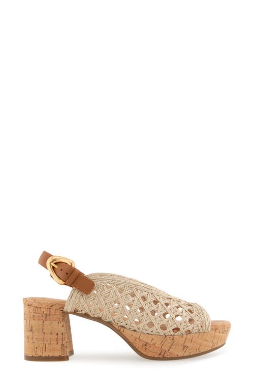 AEROSOLES AEROSOLES CORNELIA SLINGBACK PLATFORM SANDAL