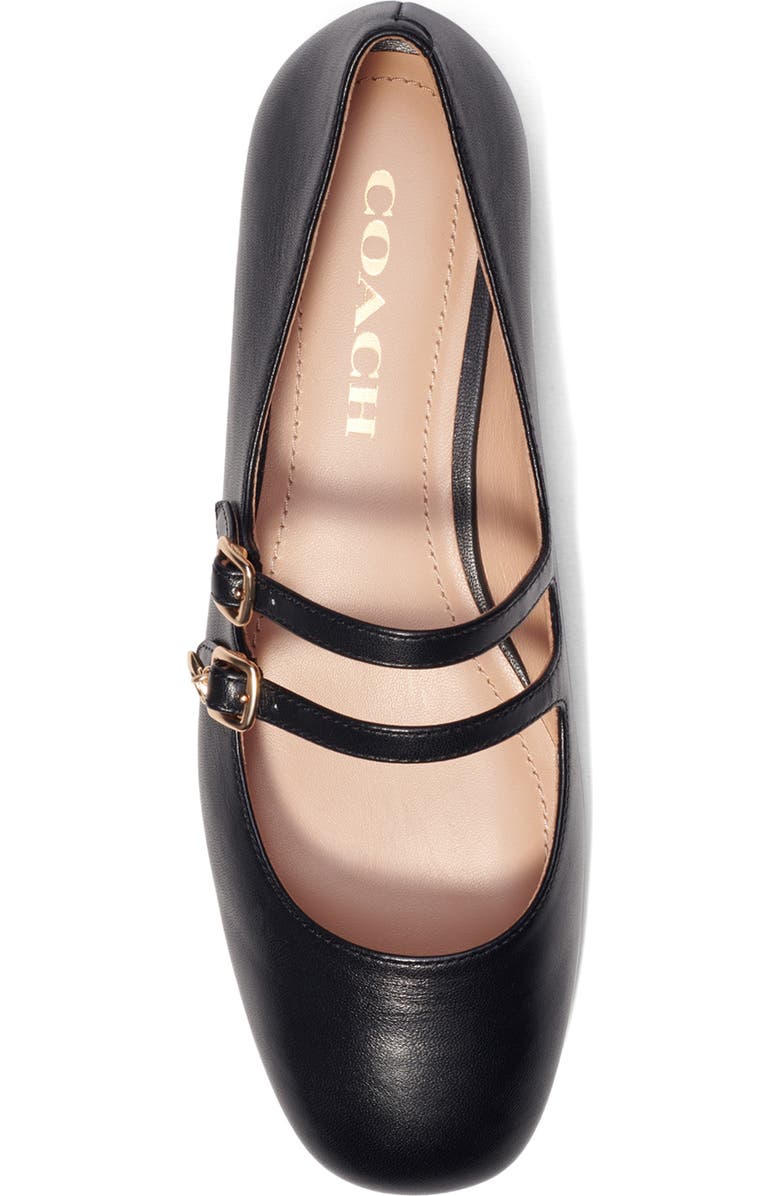 COACH Whitley Mary Jane Flat, Alternate, color,