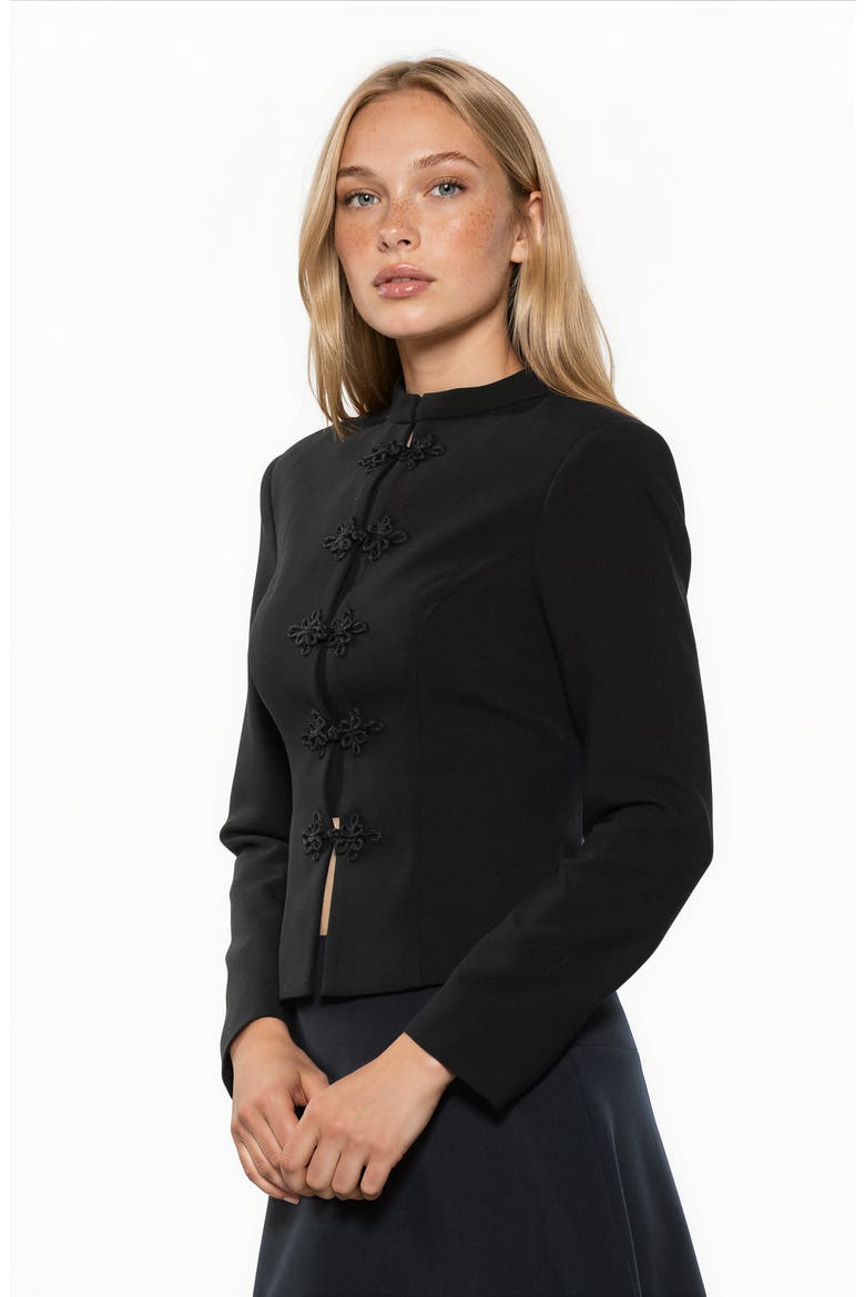 Moira Mandarin Collar Jacket, Alternate, color, BLACK