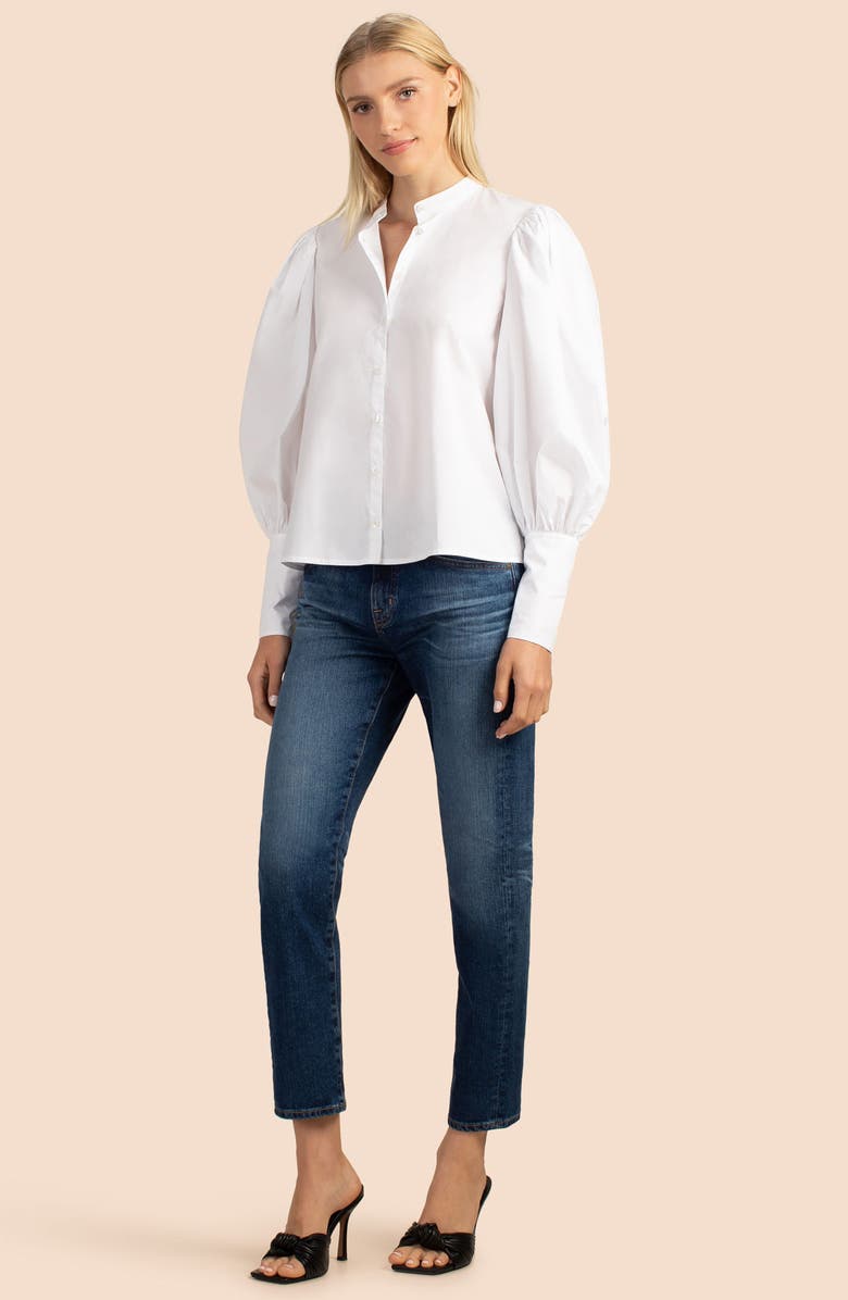 Trina Turk Coast Line Puff Sleeve Top, Alternate, color, 