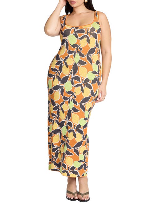 Intarsia Column Dress (Plus Available)