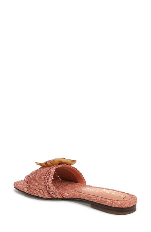 Sam Edelman Bambi Raffia Buckle Slide Sandal In Brown