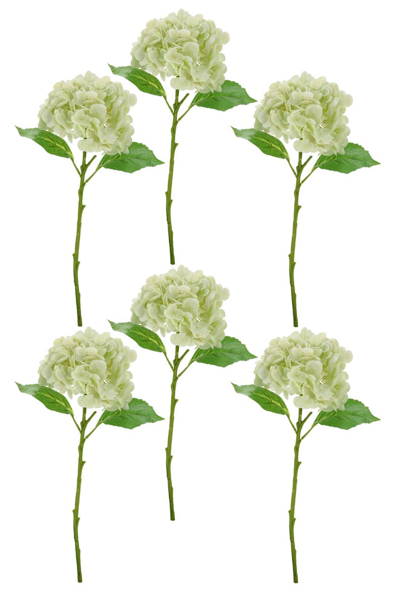 Vibrant Hydrangea Natural Touch, Box of 6, Alternate, color, Tea Green
