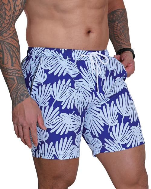 Mosmann Australia Board Shorts In Blue