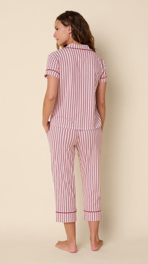 The Cat's Pajamas Pima Knit Cropped Pajama Set In Purple