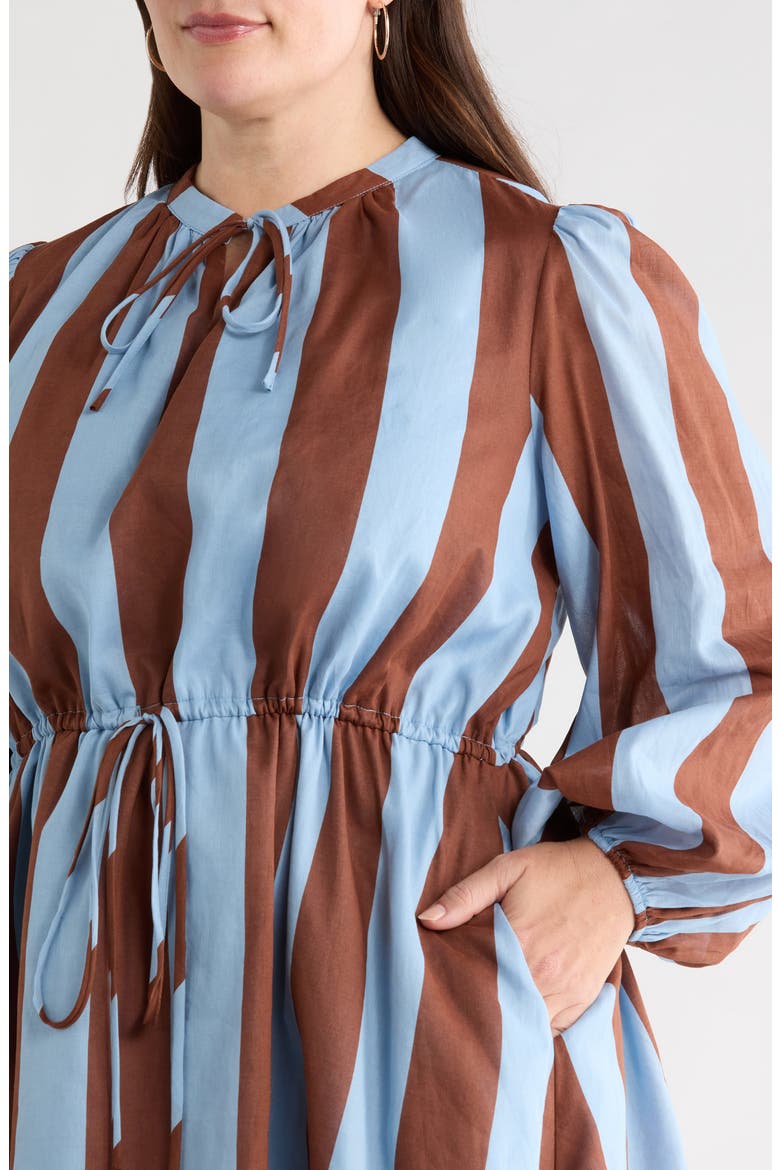 Evabelle Stripe Long Sleeve Shift Dress, Alternate, color, BROWN-BLUE