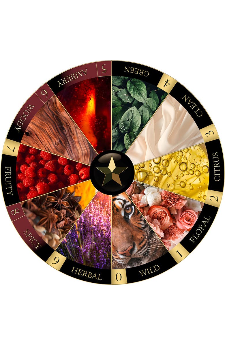 MAISON NOIR Volantis 685, Alternate, color, NO COLOR