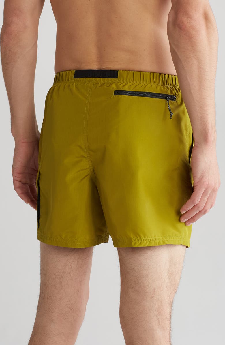 Nike Volley Swim Shorts, Alternate, color,