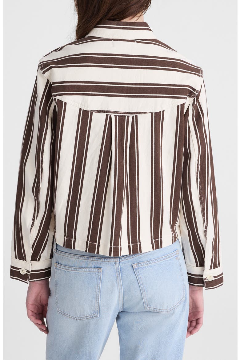 Stripe Crop Jacket, Alternate, color, DARK BROWN STRIPE