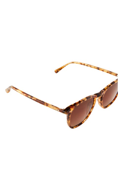DIFF DIFF MAXWELL 51MM POLARIZED SQUARE SUNGLASSES 