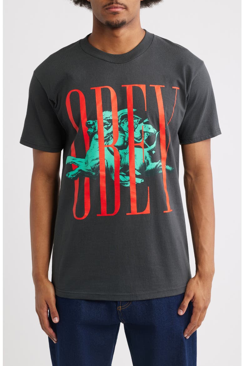 Pillars Graphic T-Shirt, Main, color, VINTAGE BLACK
