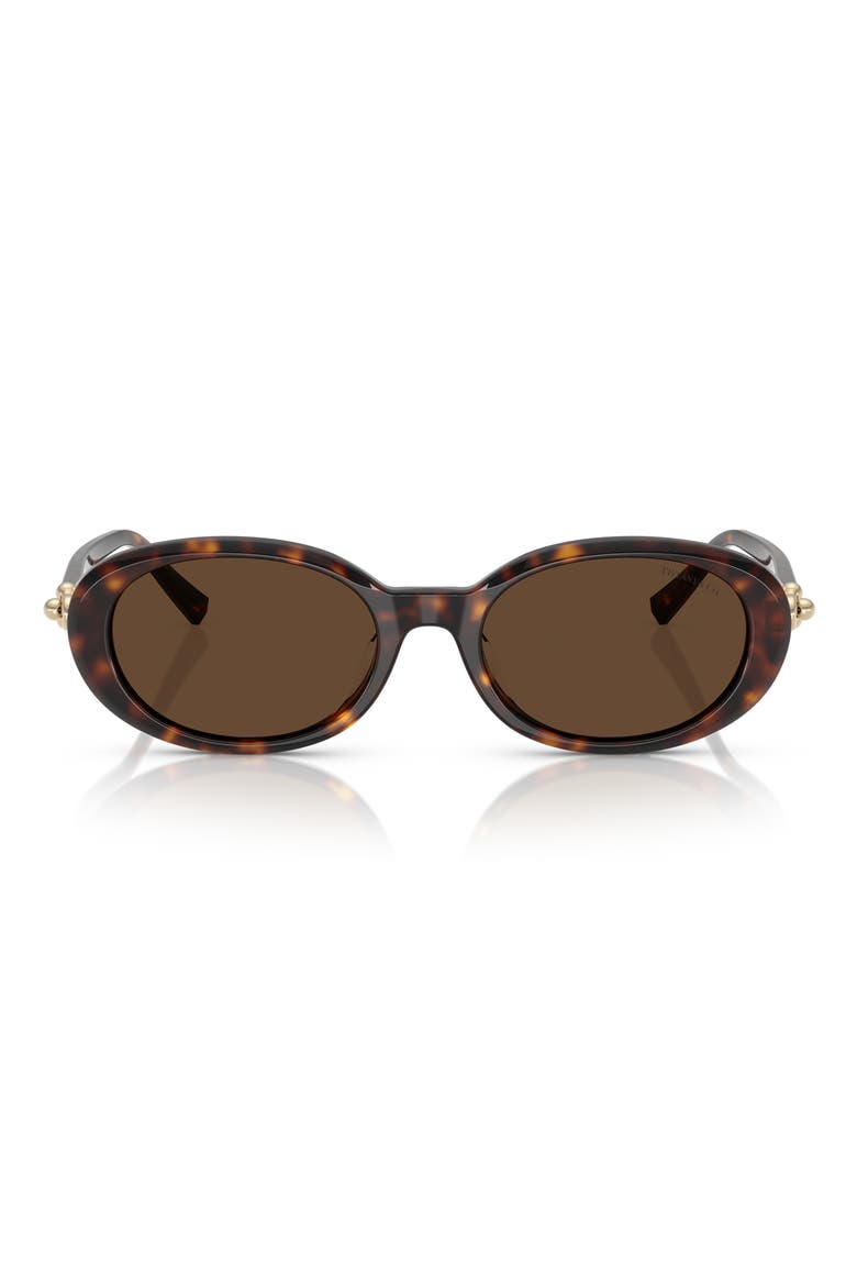 54mm Oval Sunglasses, Main, color, HAVANA / LIGHT BROWN