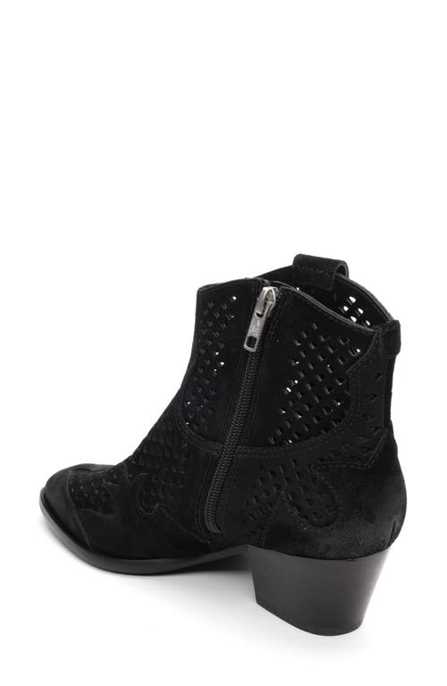 Ash Flare Bootie In Black