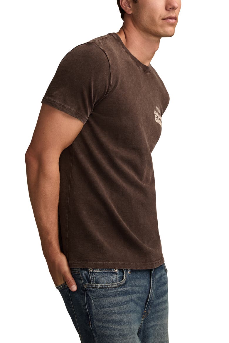Guinness Lovely Day Cotton Graphic T-Shirt, Alternate, color, JAVA