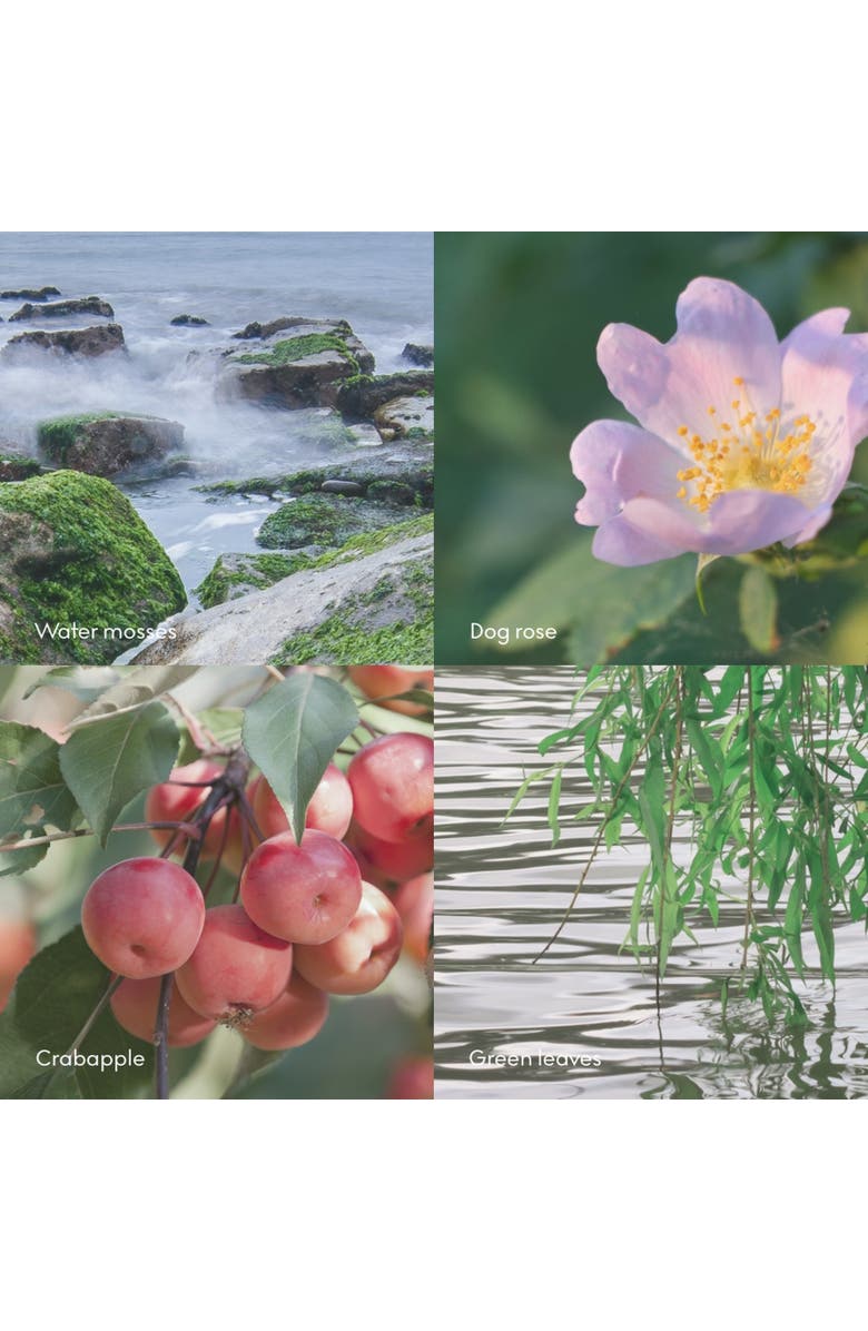 SKANDINAVISK ØY Scent Diffuser 100ml, Alternate, color, Blue-Green