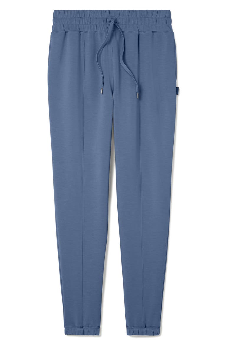 Luxe Traveler High Waist Joggers, Alternate, color, PURPLE