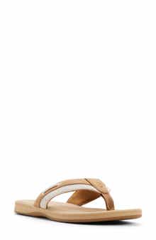 Sperry Sealfish Flip Flop