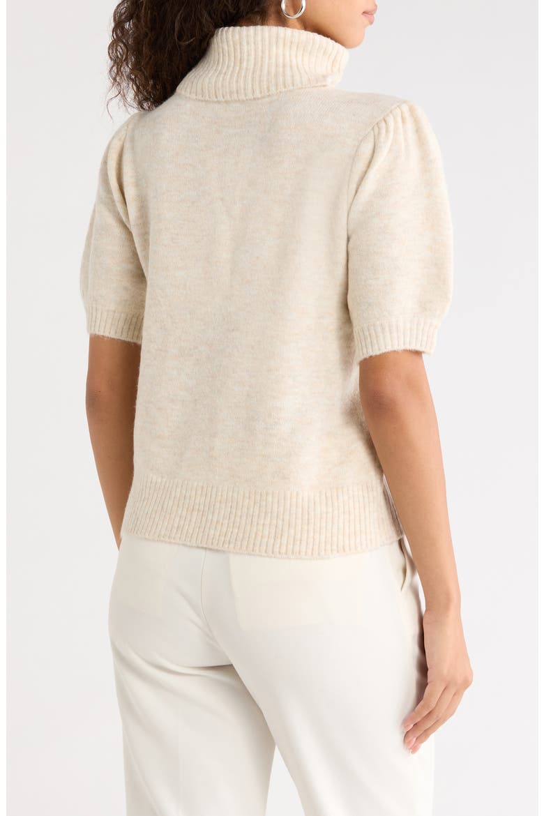 Turtleneck Short Sleeve Sweater, Alternate, color, MALTED