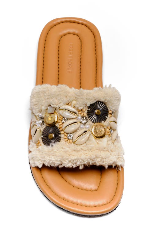 Shop Free People Shipwreck Shell Slide Sandal In Ivory