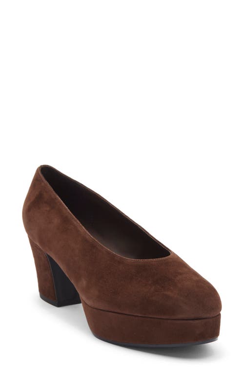 Jeffrey Campbell Chapters Almond Toe Platform Pump In Brown