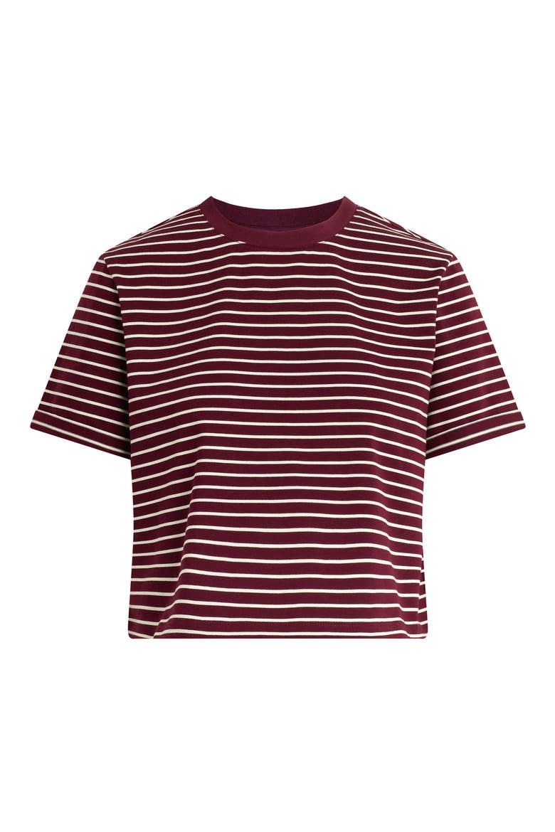 The Boxy Crop T-Shirt, Alternate, color, BORDEAUX BRETON ST