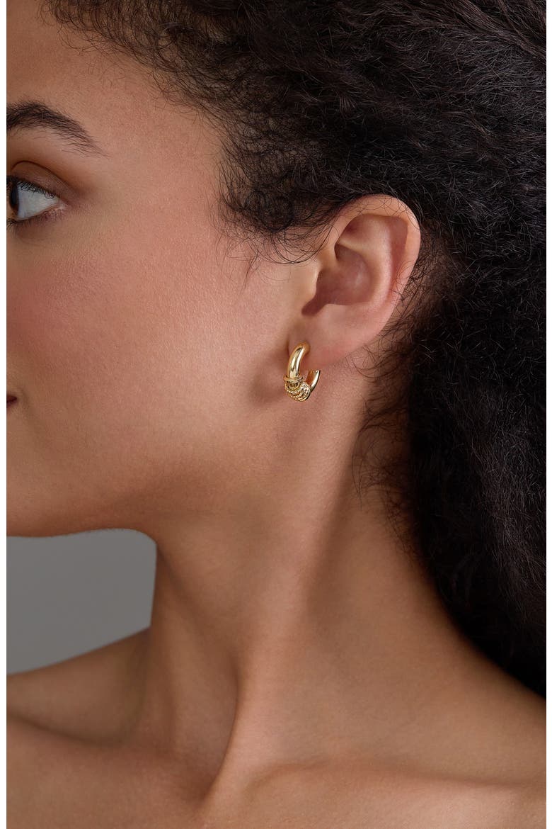 14K Gold Hoop Earrings, Alternate, color, 14K YELLOW GOLD
