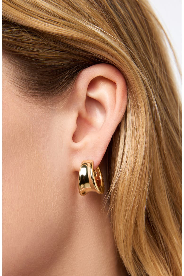 Wade Medium Hoop Earrings, Alternate, color, GOLD