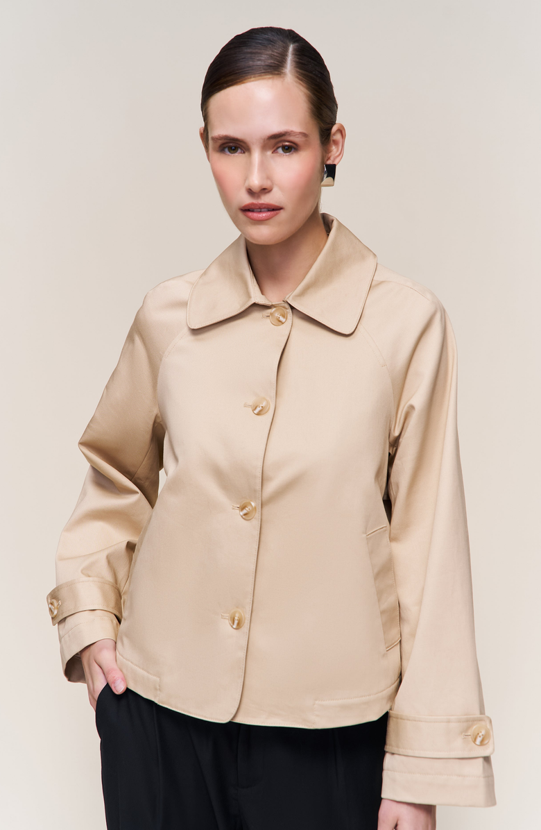 Guizio Romeo Trench Coat, Alternate, color, Taupe