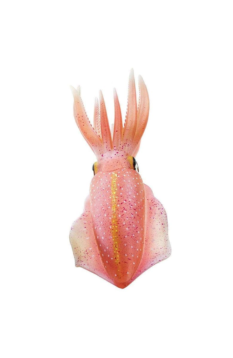 Safari Ltd. Reef Squid Toy, Alternate, color, NO COLOR