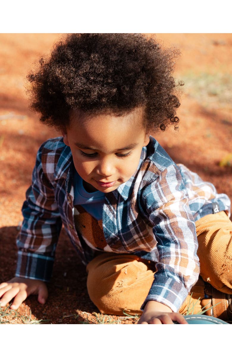 Deux par Deux Boy's Long Sleeve Button Down Shirt Plaid Blue And Hazel, Alternate, color, 