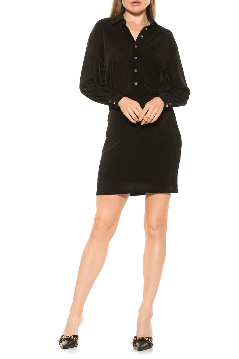 Avril Velvet Shirtdress, Main, color, BLACK