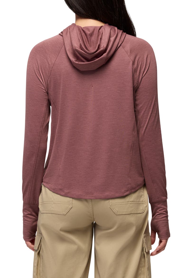 Sol Searcher UPF 50 Sun Hoodie, Alternate, color, NEWBERRY
