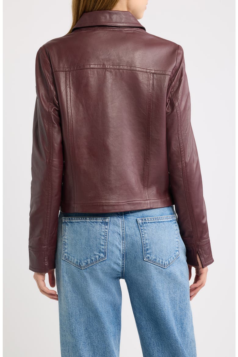 Lefei Leather Jacket, Alternate, color, WINE/ BLACK