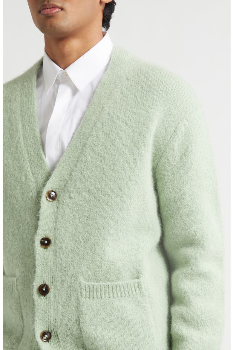 Alpaca Blend Cardigan, Alternate, color, ICED PISTACHIO