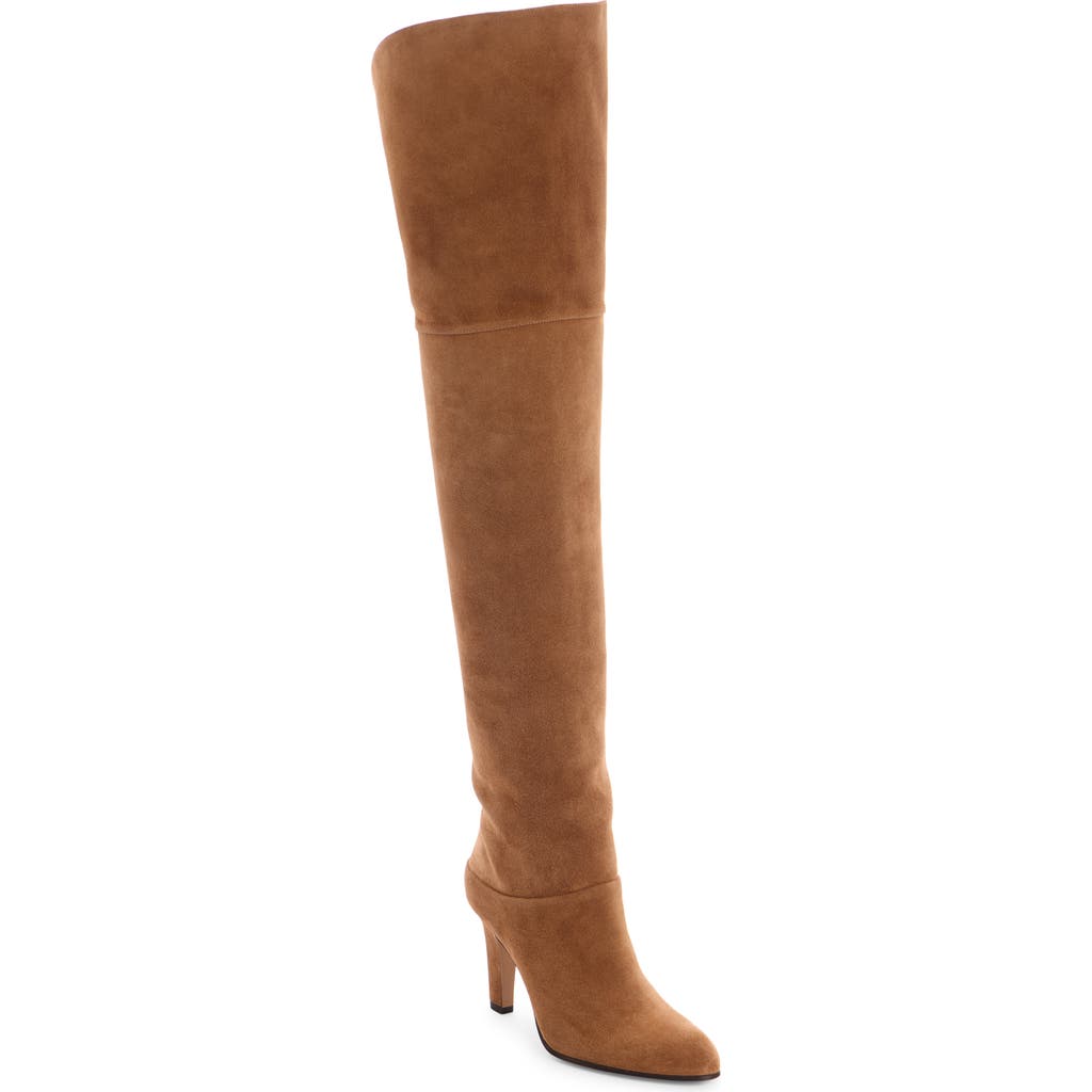 Chloé Eve Over The Knee Boot In Animal Print