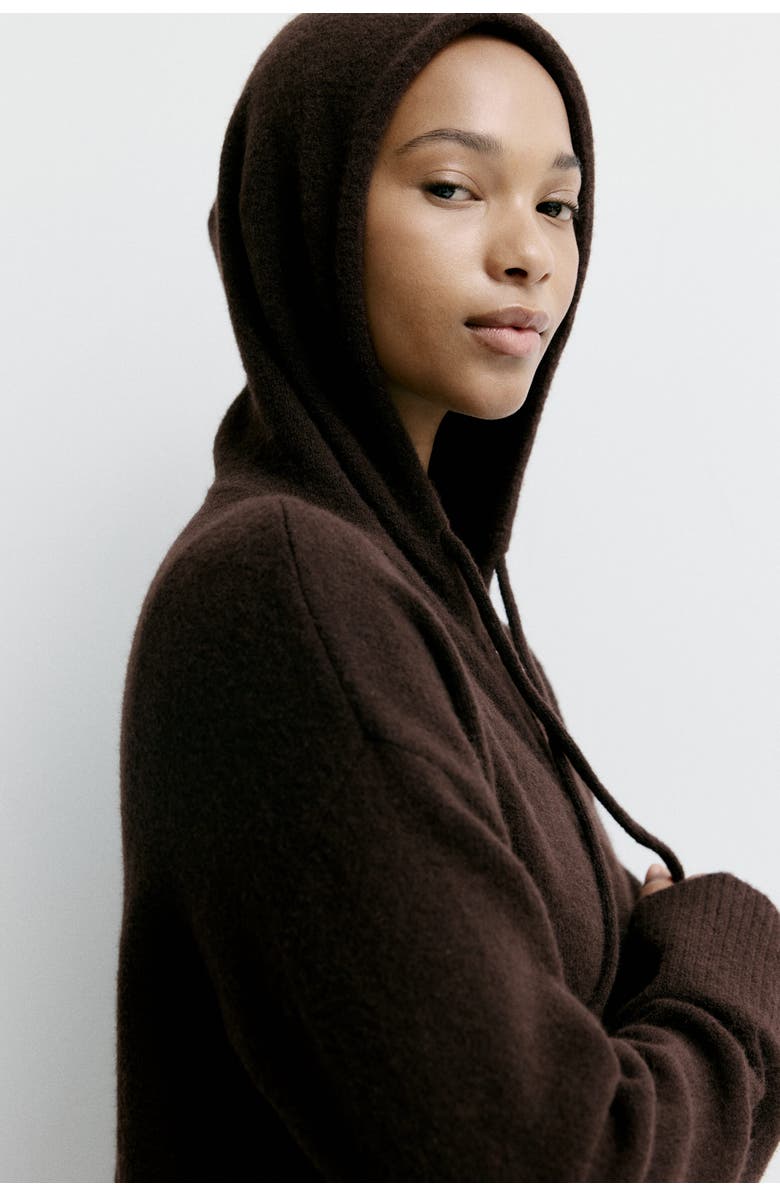 H&M Knitted Zip-through Hoodie, Alternate, color, Dark Brown