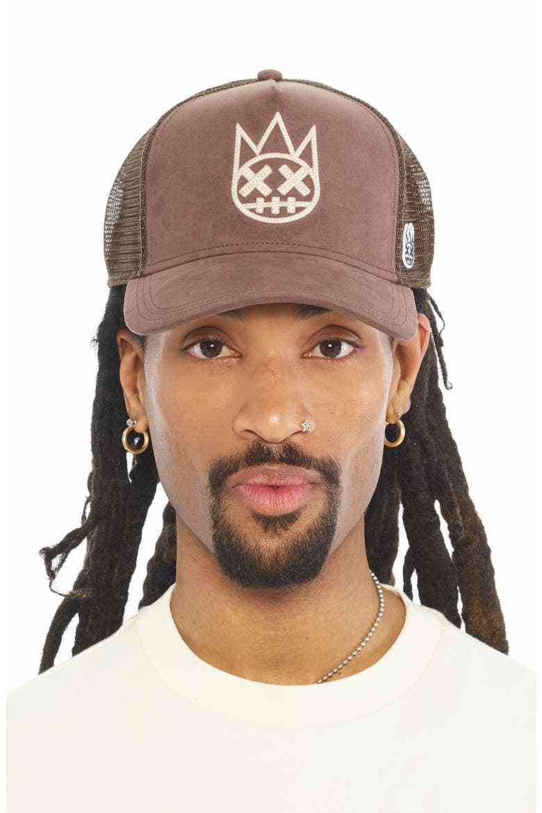 Logo Mesh Back Trucker Baseball Cap, Alternate, color, PINECONE