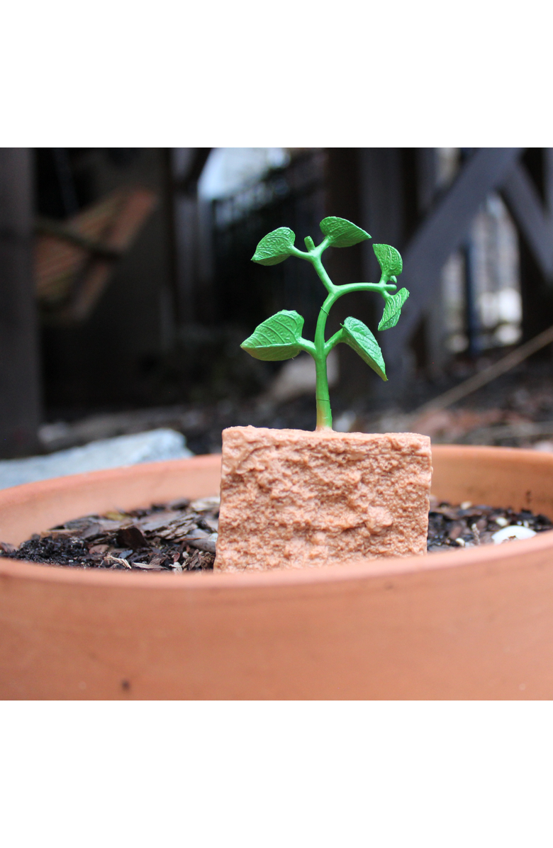 Safari Ltd. Life Cycle Of A Green Bean Plant, Alternate, color, NO COLOR
