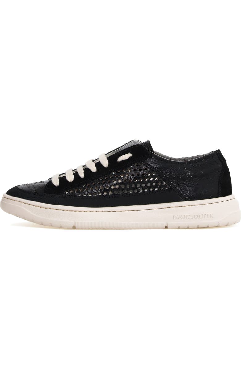 Candice Cooper Tim Perforated Leather Lace-Up Sneaker, Alternate, color, Black