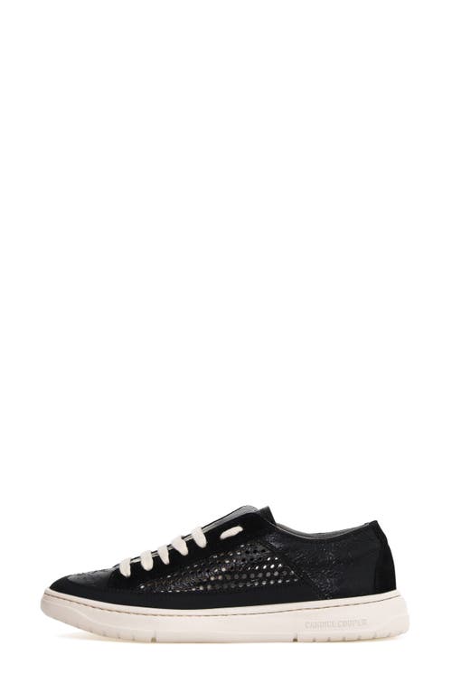 Candice Cooper Tim Perforated Leather Lace-up Sneaker In Black