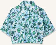 Lanvin Blouse Collar Shirt