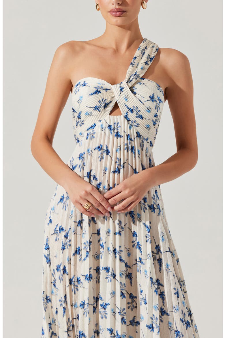 Rasya Floral Pleated One-Shoulder Maxi Dress, Alternate, color, WHITE BLUE FLORAL
