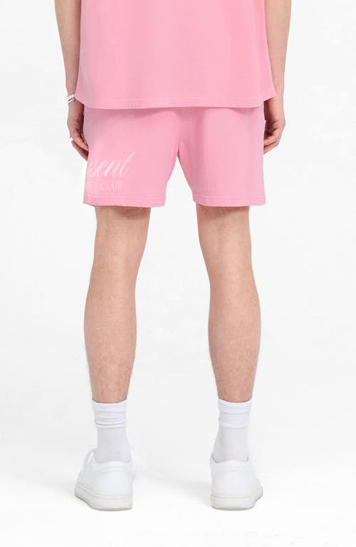 Represent Owners' Club Cotton Mesh Drawstring Shorts In Pink