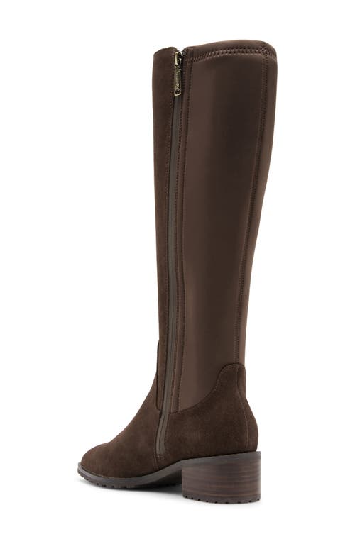 Blondo Sandy Waterproof Knee High Boot In Brown