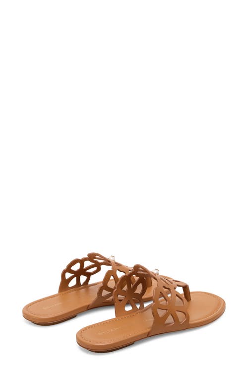 Stuart Weitzman Jasmine Cutout Sandal