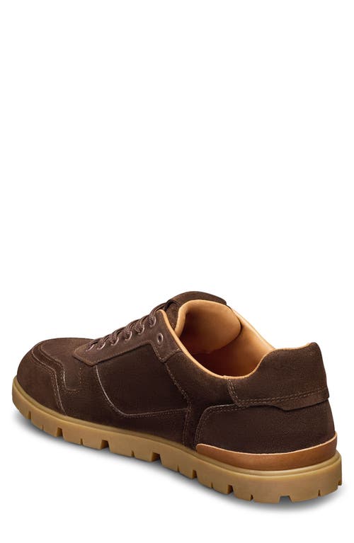 Allen Edmonds Vail Sneaker In Brown