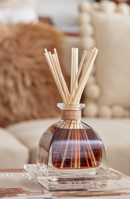 Agraria San Francisco Holiday Airessence Reed Diffuser In Brown
