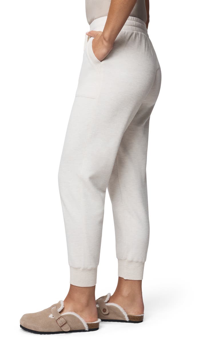 Splendid Winslow Joggers, Alternate, color, Pale Oak Heather