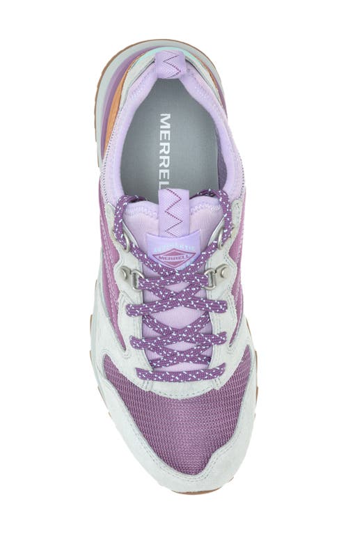 Merrell Alpine 83 Recraft Sneaker In Grape
